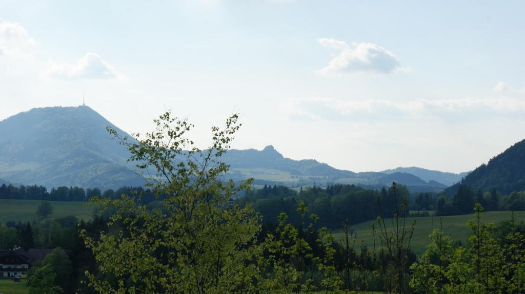 Pension Schierl Файштенау Номер фото